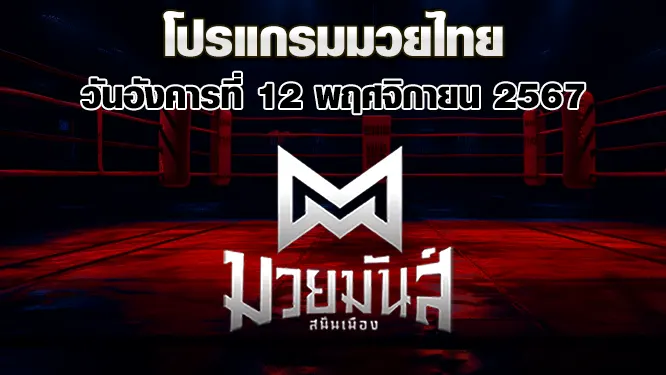 โปรแกรมมวยไทย วันอังคารที่ 12 พฤศจิกายน 2567