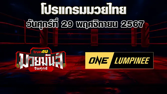 โปรแกรมมวยไทย วันศุกร์ที่ 29 พฤศจิกายน 2567