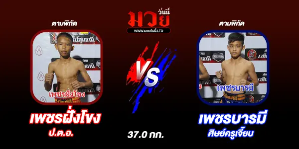 มวยวันนี้