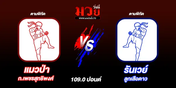 โปรแกรมมวยวันนี้