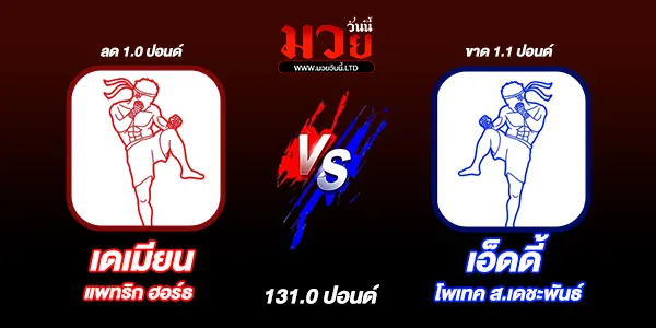 มวยวันนี้