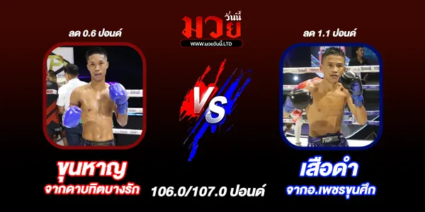 โปรแกรมมวยวันนี้