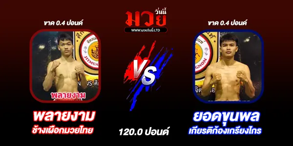 ผลมวย