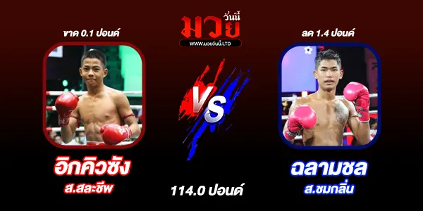 มวยวันนี้