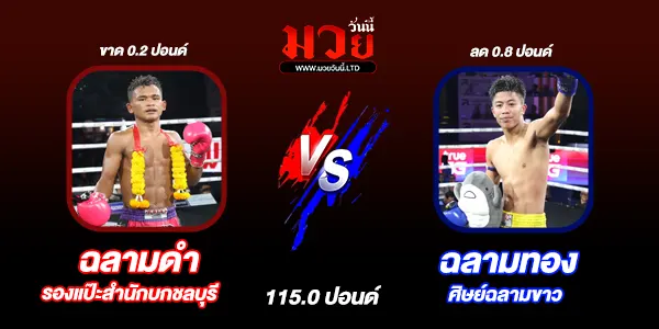 โปรแกรมมวยวันนี้