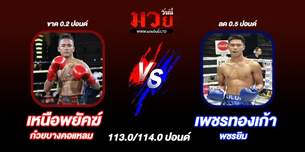 มวยวันนี้
