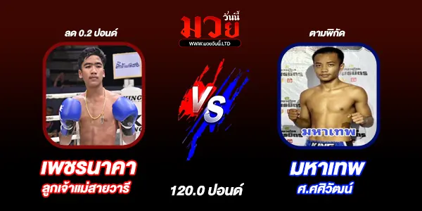 มวยวันนี้