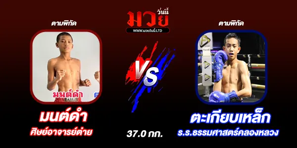 ผลมวย