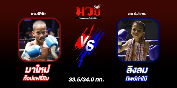 มวยวันนี้