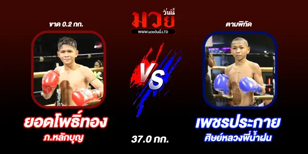 มวยวันนี้