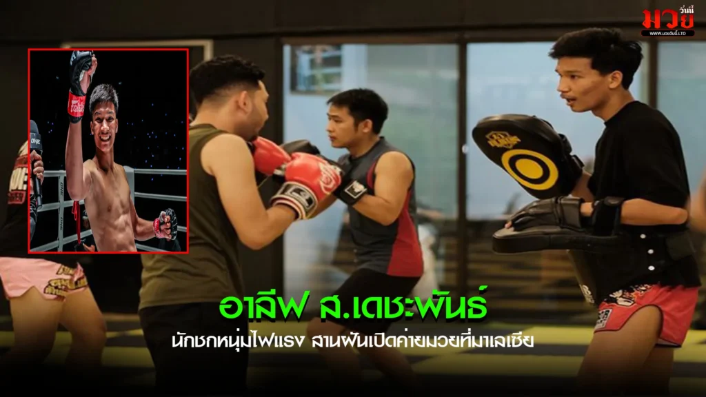อาลีฟ ส.เดชะพันธ์