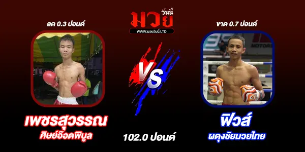 มวยวันนี้