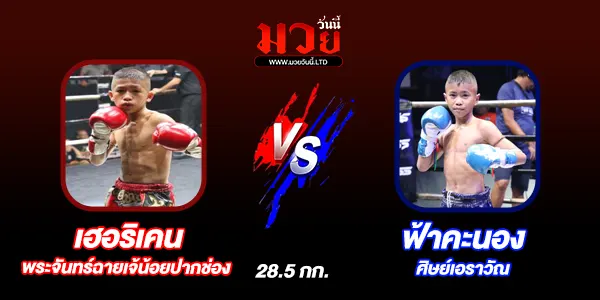 ผลมวย