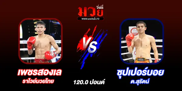 มวยวันนี้