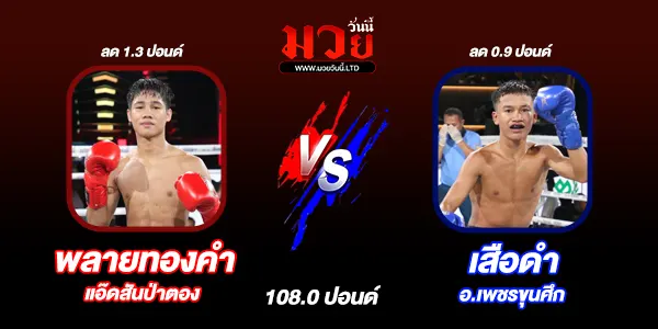 โปรแกรมมวยวันนี้