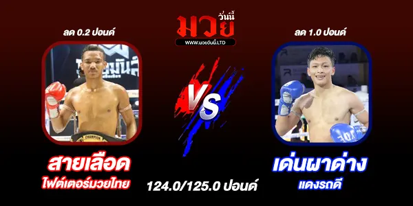 โปรแกรมมวยวันนี้