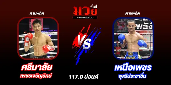 มวยวันนี้