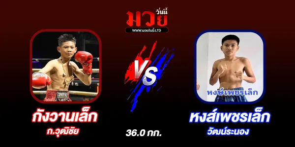 มวยวันนี้