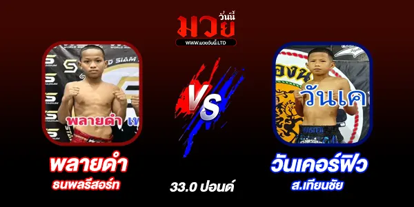 โปรแกรมมวยวันนี้