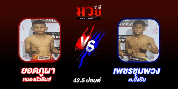 มวยวันนี้