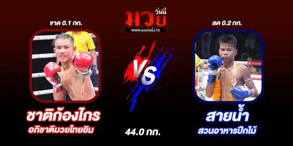 มวยวันนี้