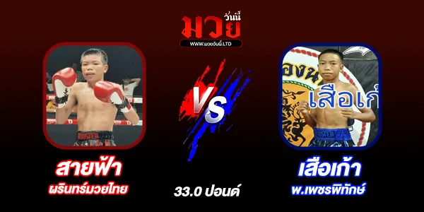 มวยวันนี้