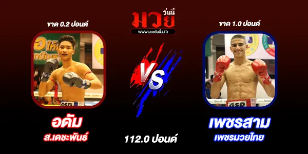 มวยวันนี้