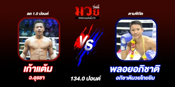 มวยวันนี้
