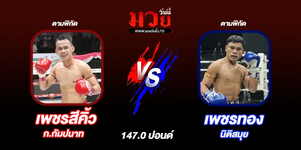โปรแกรมมวยวันนี้