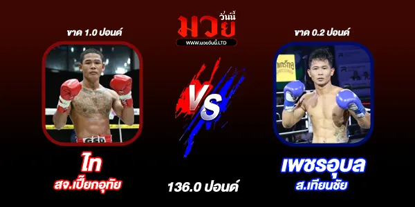 โปรแกรมมวยวันนี้