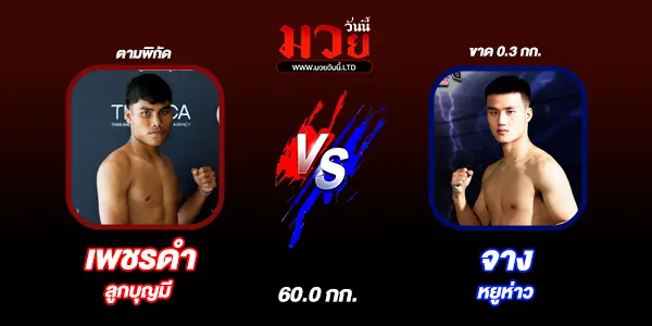 โปรแกรมมวยวันนี้