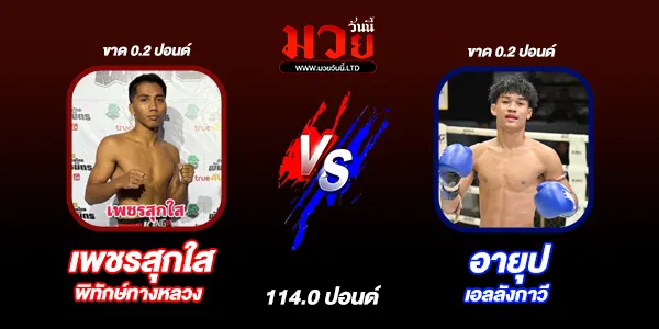โปรแกรมมวยวันนี้