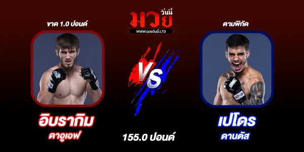 โปรแกรมมวยวันนี้