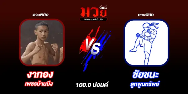 มวยวันนี้