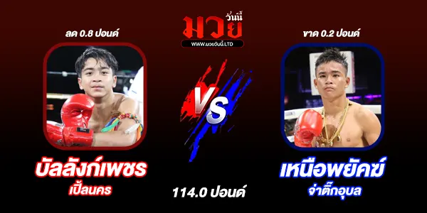 โปรแกรมมวยวันนี้