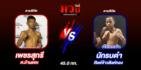 มวยวันนี้