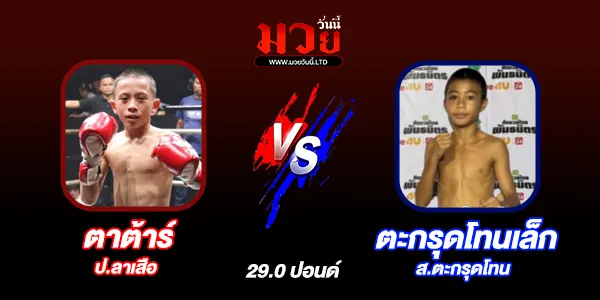 มวยวันนี้