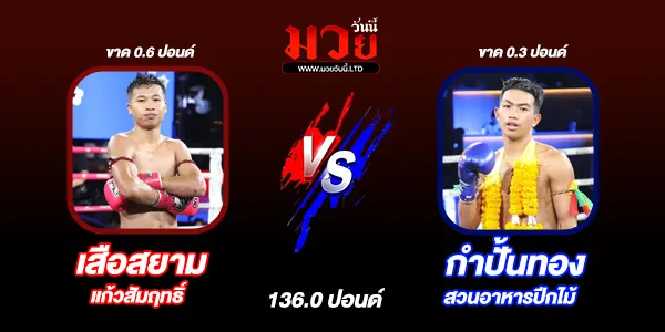 มวยวันนี้