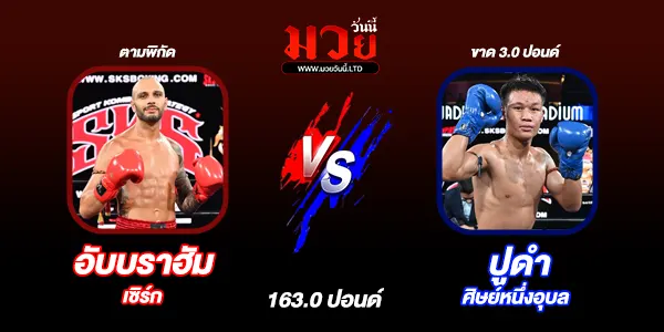 โปรแกรมมวยวันนี้
