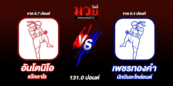 มวยวันนี้