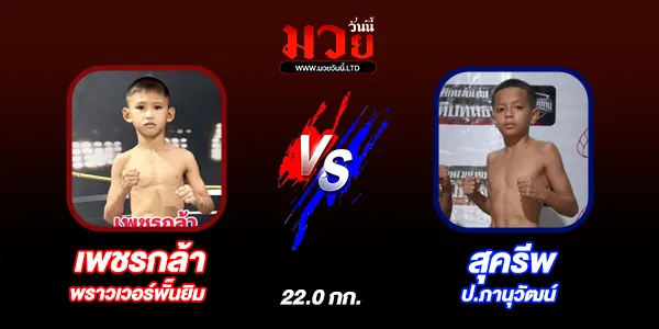 มวยวันนี้