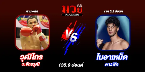 มวยวันนี้