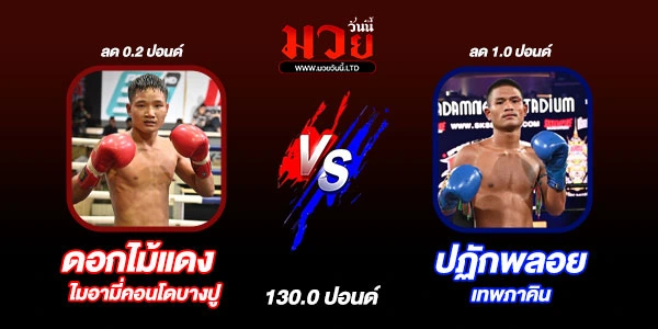 โปรแกรมมวยวันนนี้ 