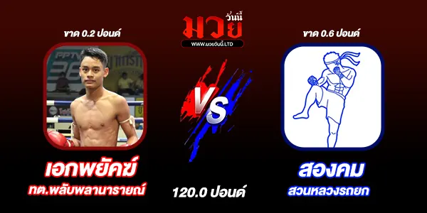 โปรแกรมมวยวันนี้