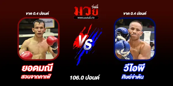 มวยวันนี้