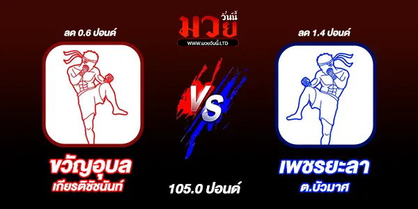 โปรแกรมมวยวันนี้