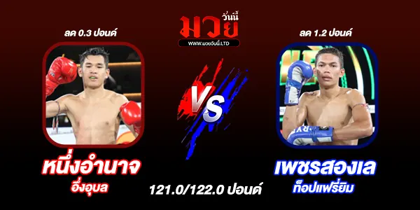 มวยวันนี้