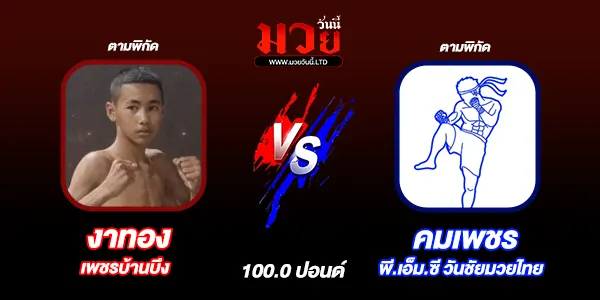 มวยวันนี้