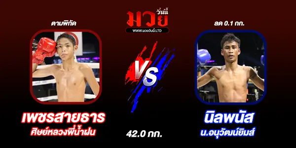 มวยวันนี้