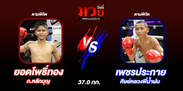 มวยวันนี้